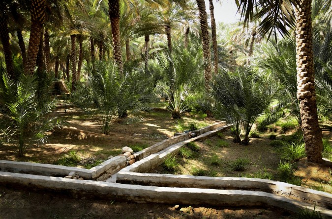 تصميم مجموعة فلج للمصممة الجود لوتاه مستلهم من مشروع الأفلاج في الإمارات لتطوير أنظمة الري