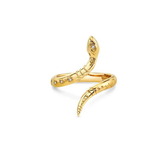 خاتم الأفعى من Sydney Evan