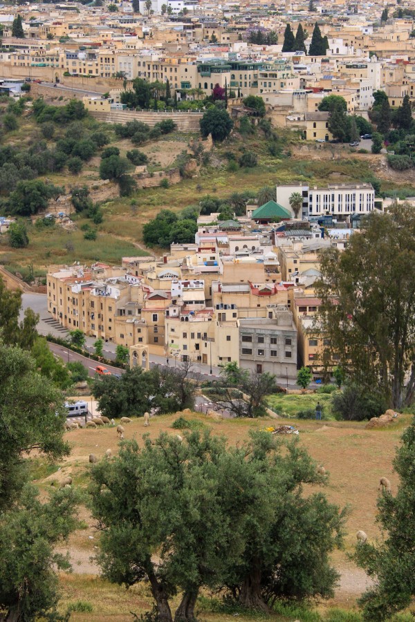جانب من مدينة فاس