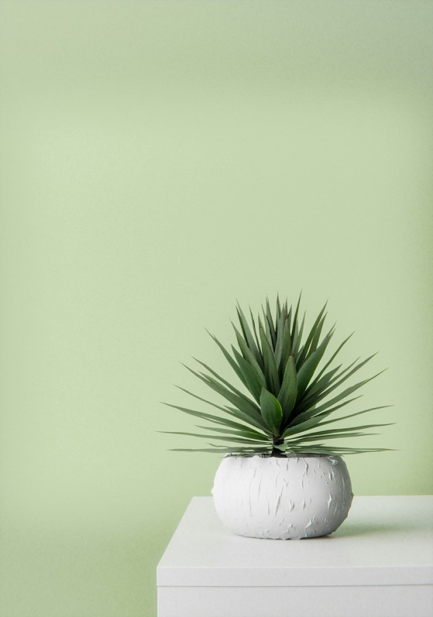 نبتة اصطناعية