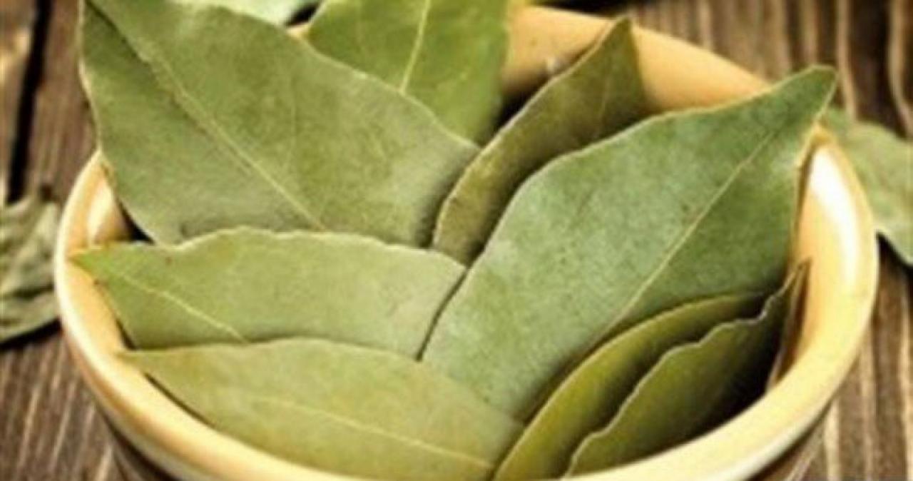 تونر ورق الغار للبشرة