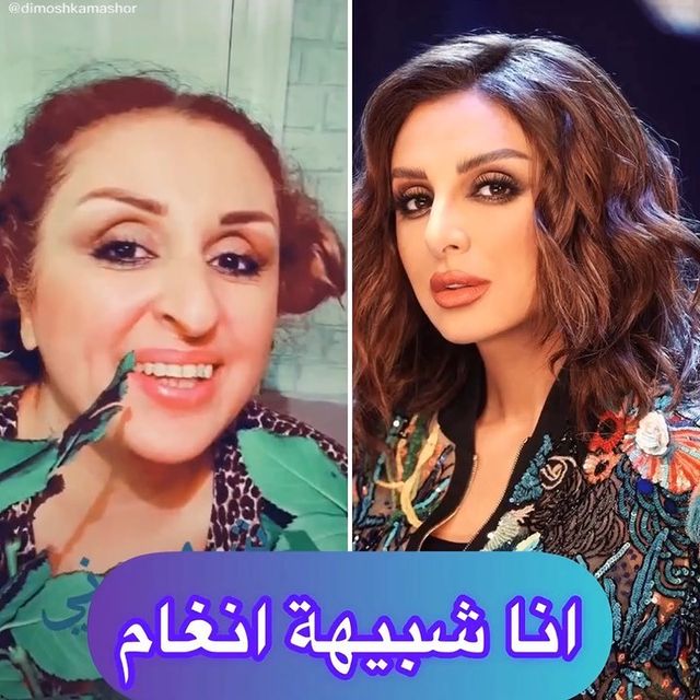 شبيهة أنغام