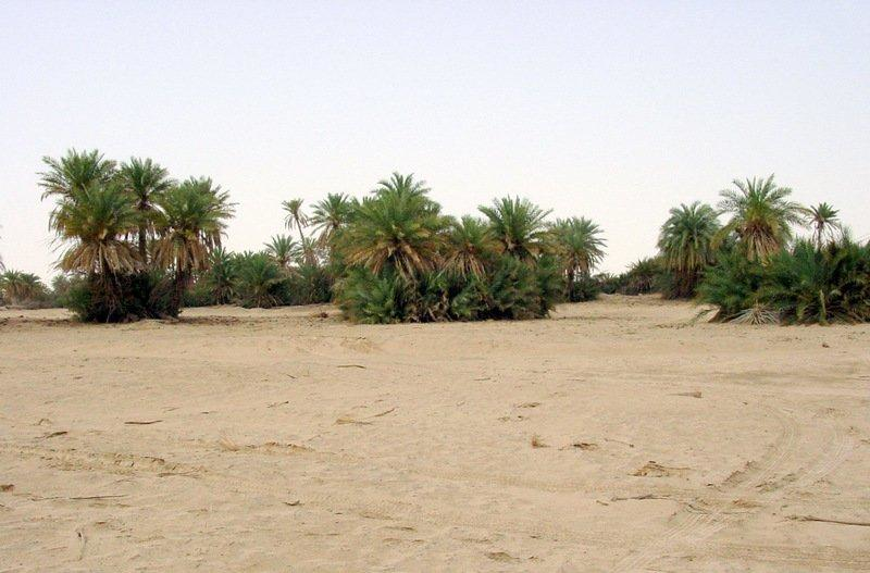 7116926-1220009205.png