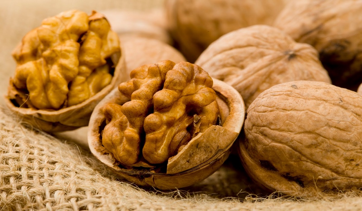 الجوز يحارب الأمراض في الجسم