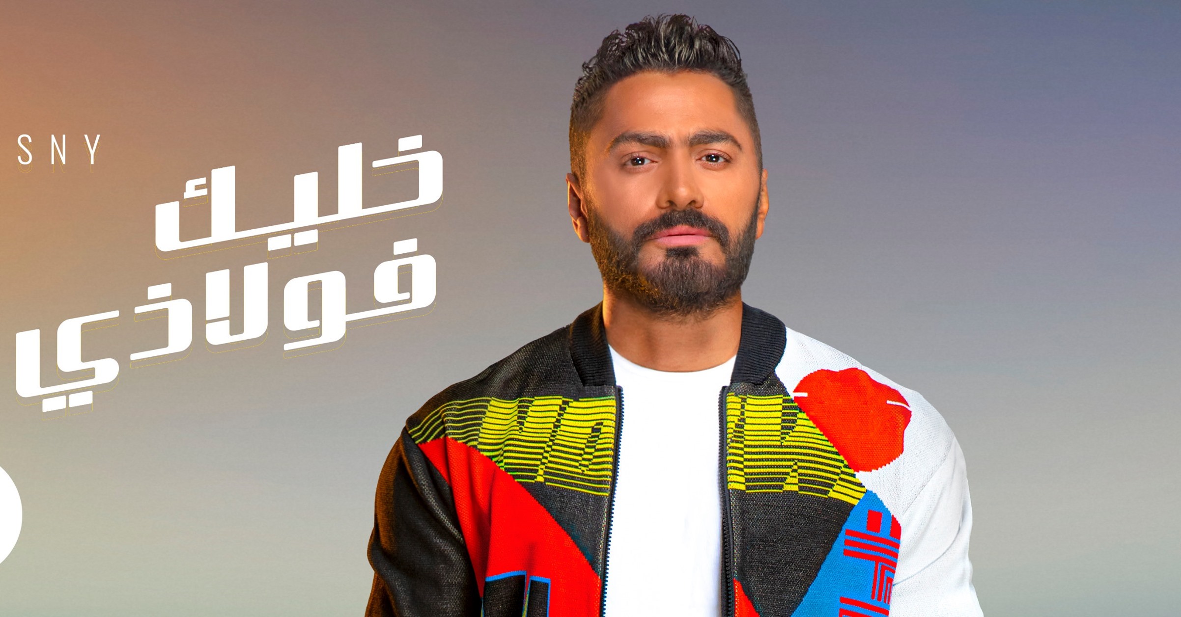 تامر حسني