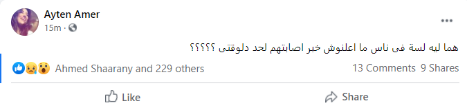 ايتن عامر