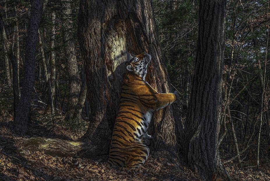 nature_2.jpg