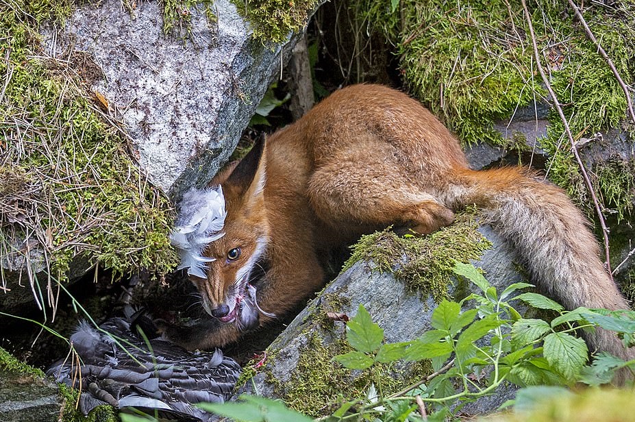 nature_3.jpg