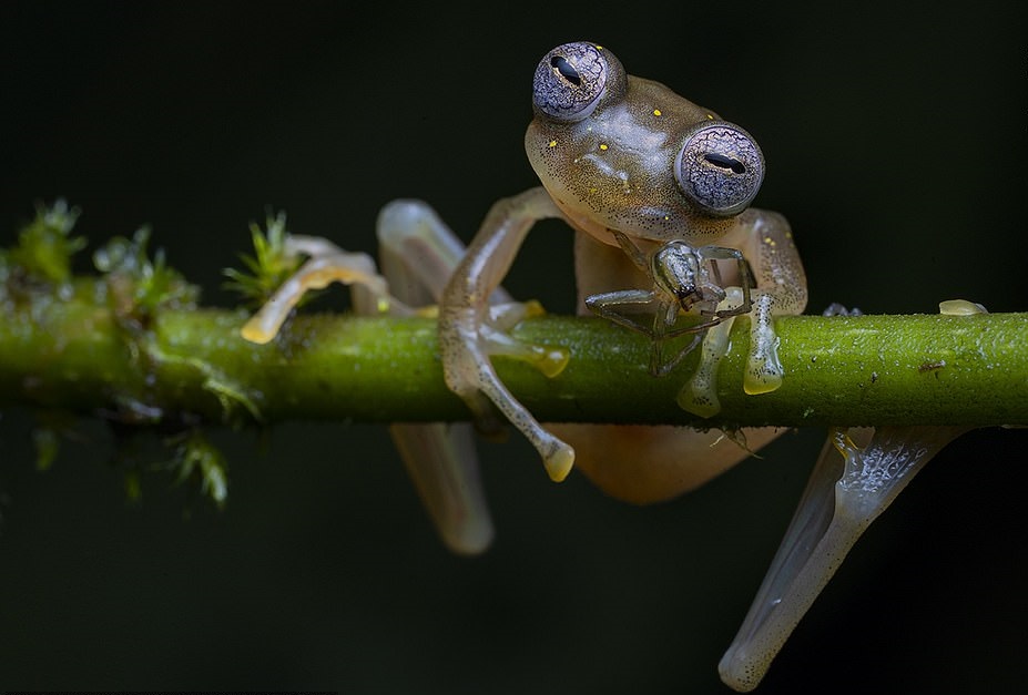 nature_4.jpg