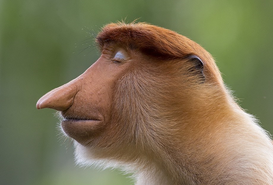 nature_5.jpg