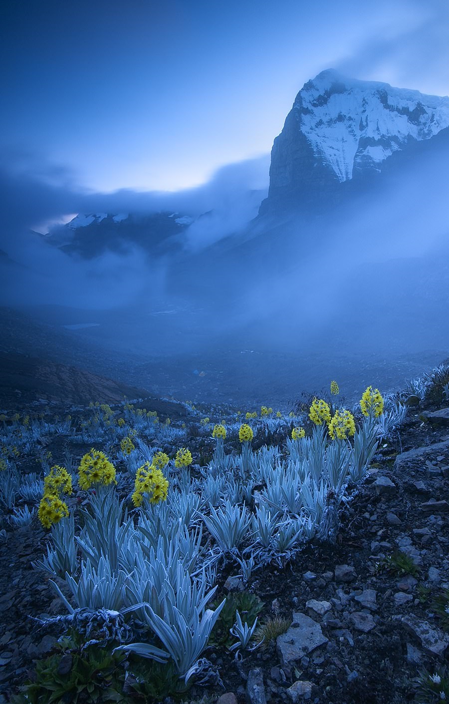 nature_6.jpg
