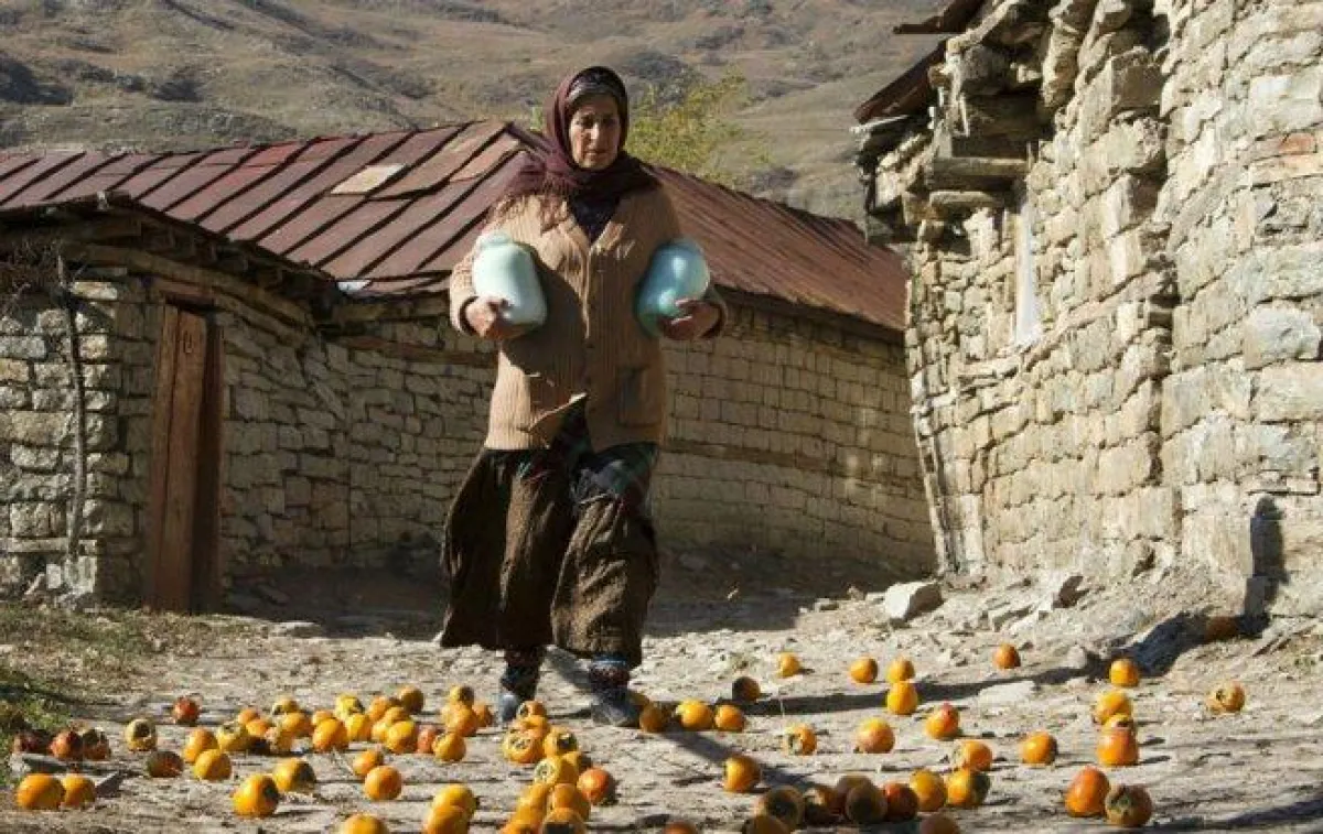 الشخصية الرئيسية في الفيلم نبات.jpg