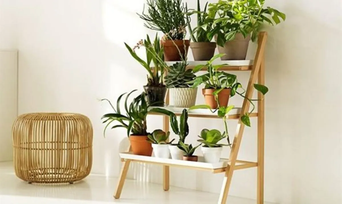 روبوت "عبقري" وغريب، لهواة تربية النباتات!