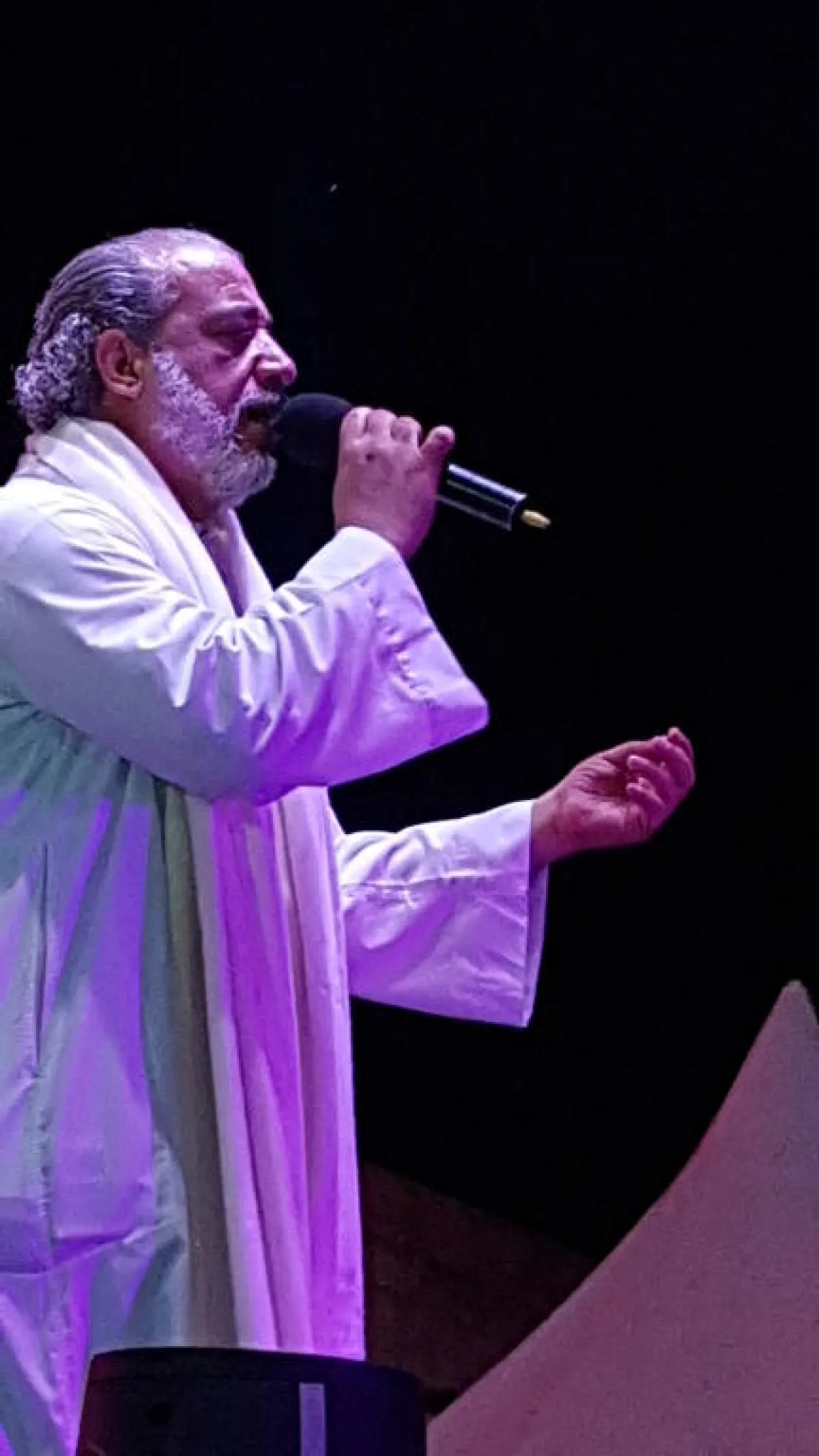 الفرقة المولوية المصرية4.jpg