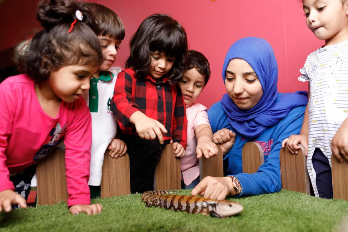 Emirates Park Class Room-227322.jpg