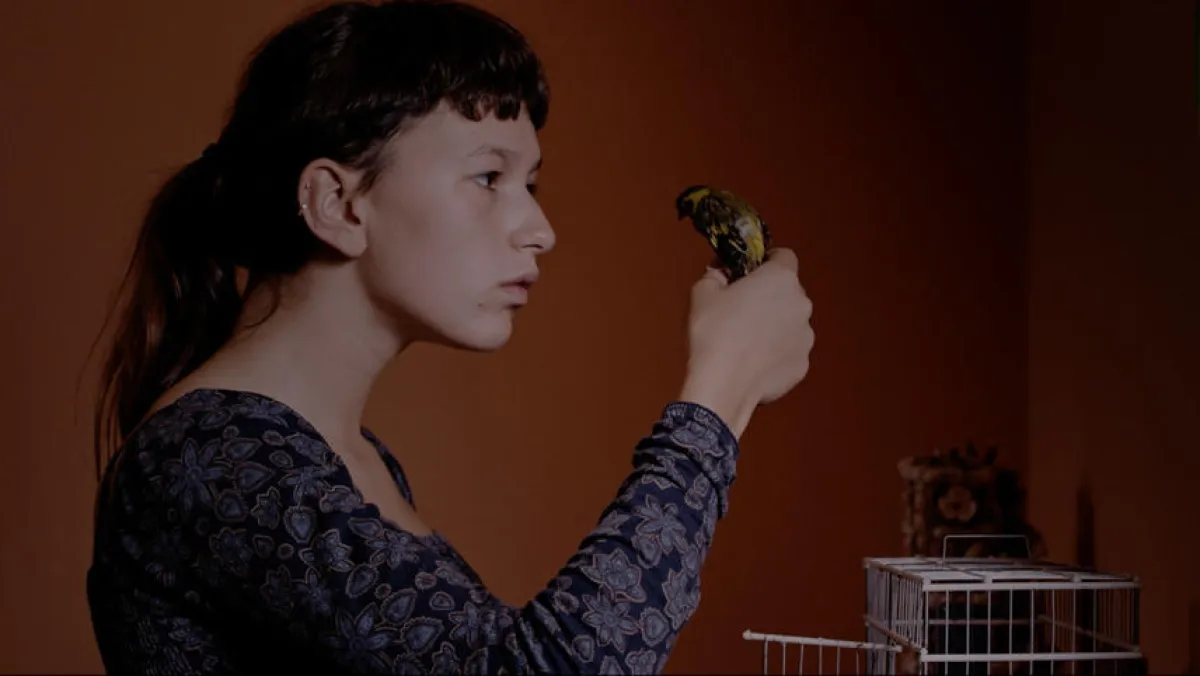 الفيلم البرتغالي الممسوخون.jpg