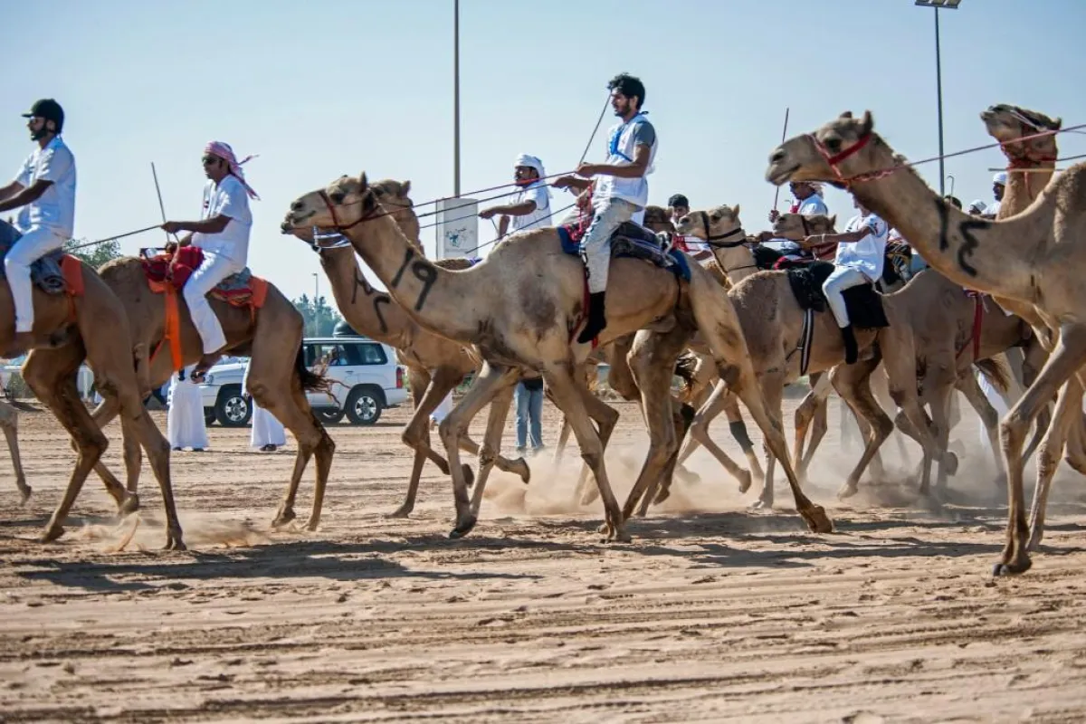 national-day-camel-marathon-2016-1024x683.jpg