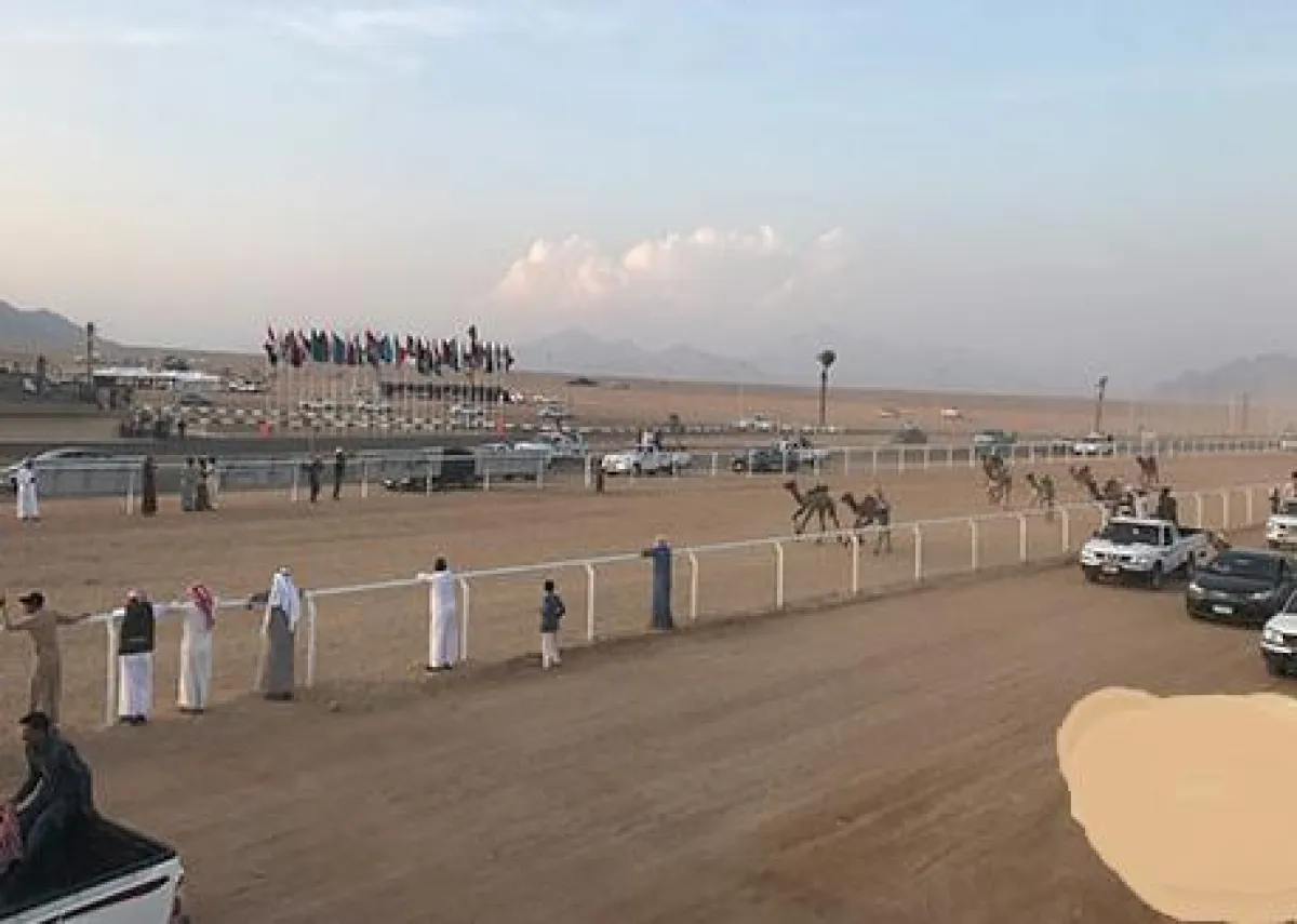 1.png تراك السباق