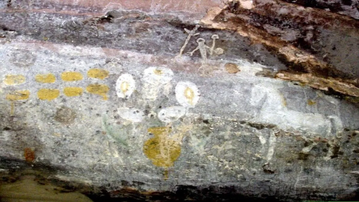 اكتشاف خنجر نادر في الهند