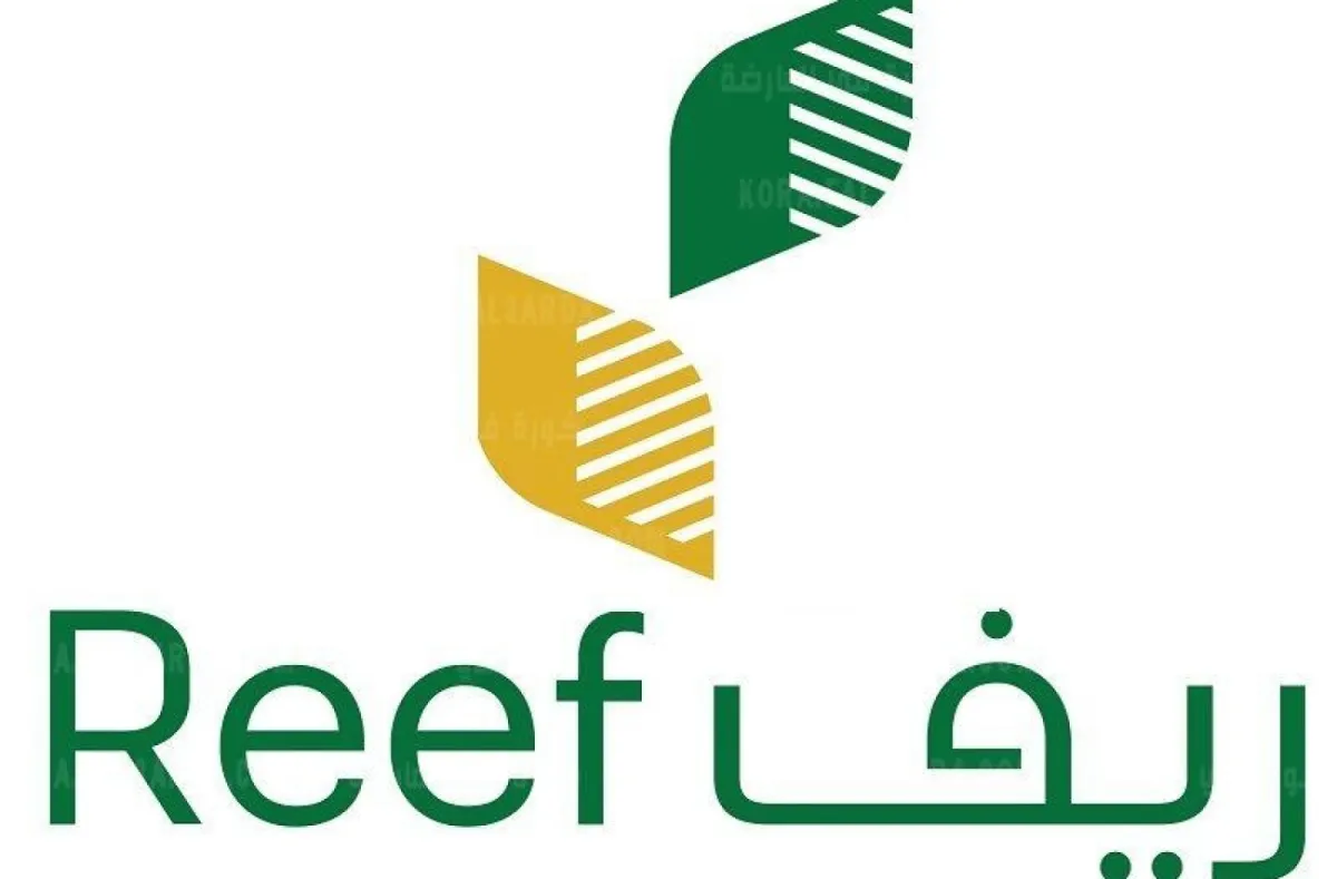 برنامج ريف (1)