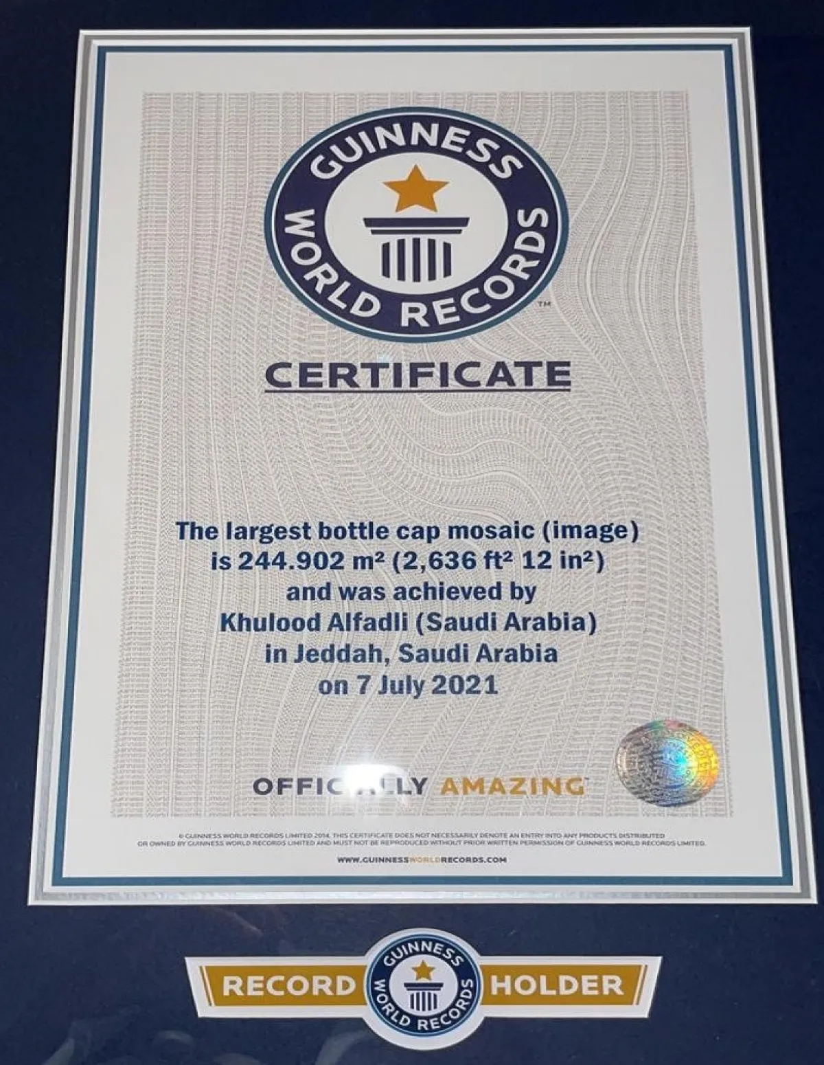 شهادة جينيس لأكبر لوحة موزاييك في العالم من أغطية البلاستيك