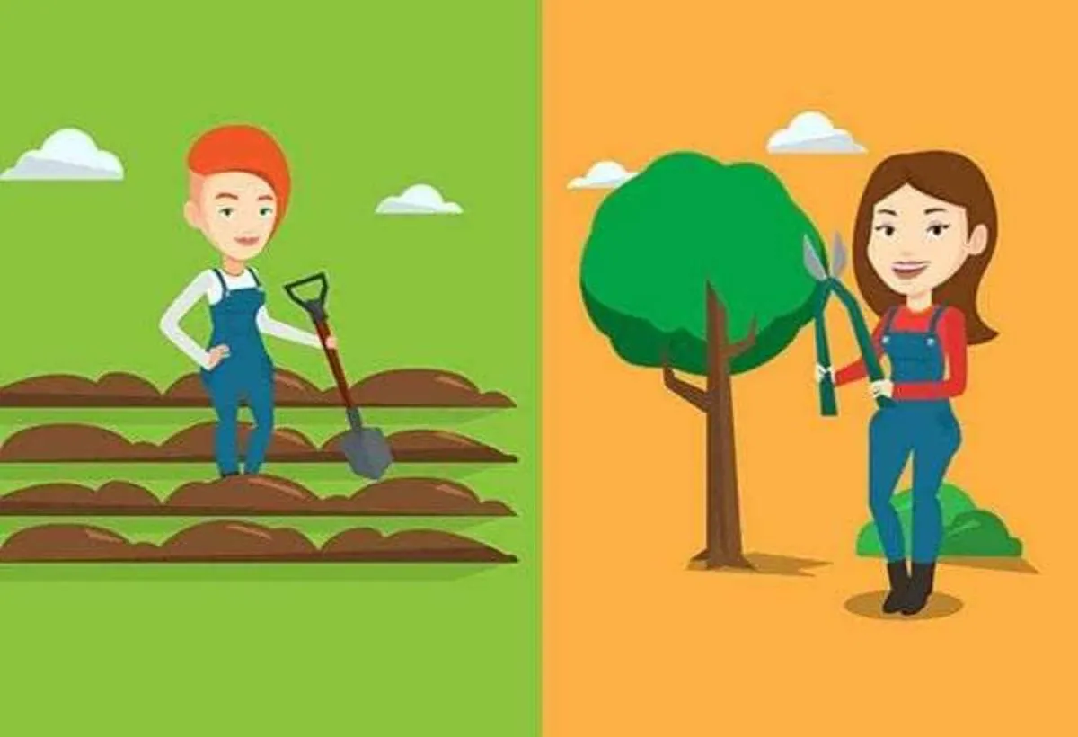 الاعتماد على النفس