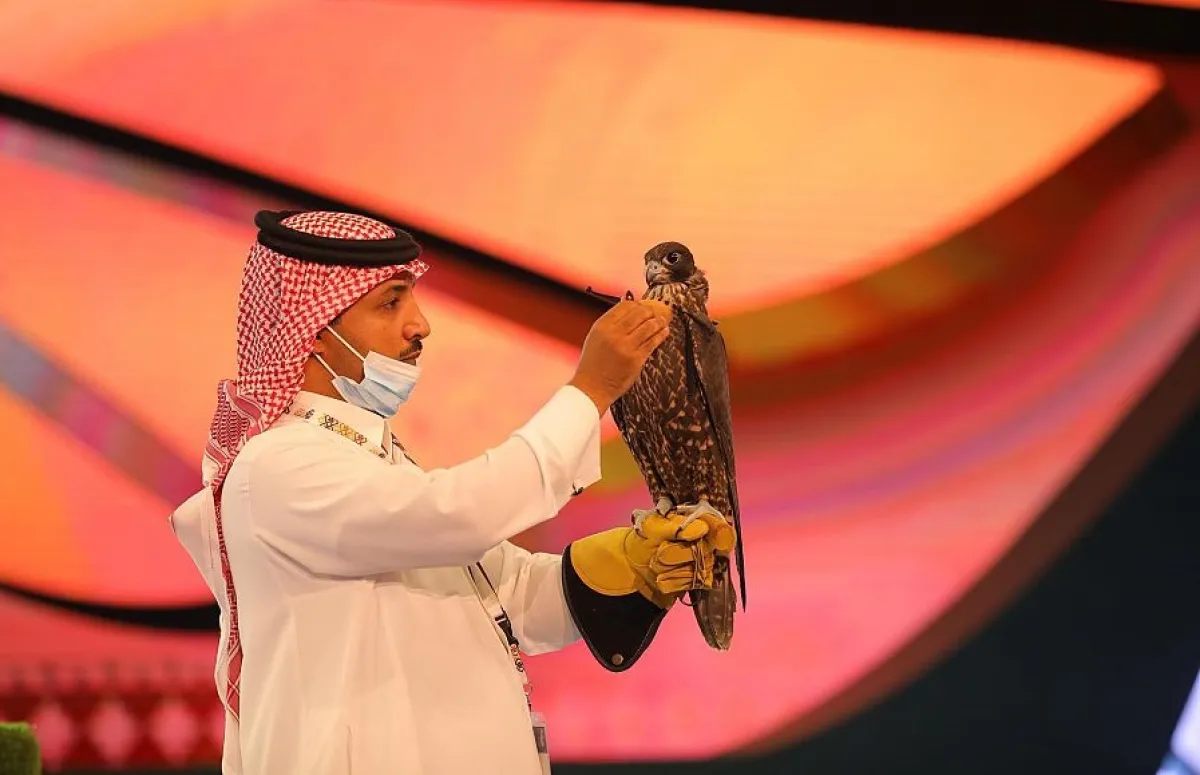 مزاد قوي للفوز بصقر سعره 64 ألف ريال في المزاد الدولي لمزارع إنتاج الصقور  "الصورة من الحساب الرسمي لواس"