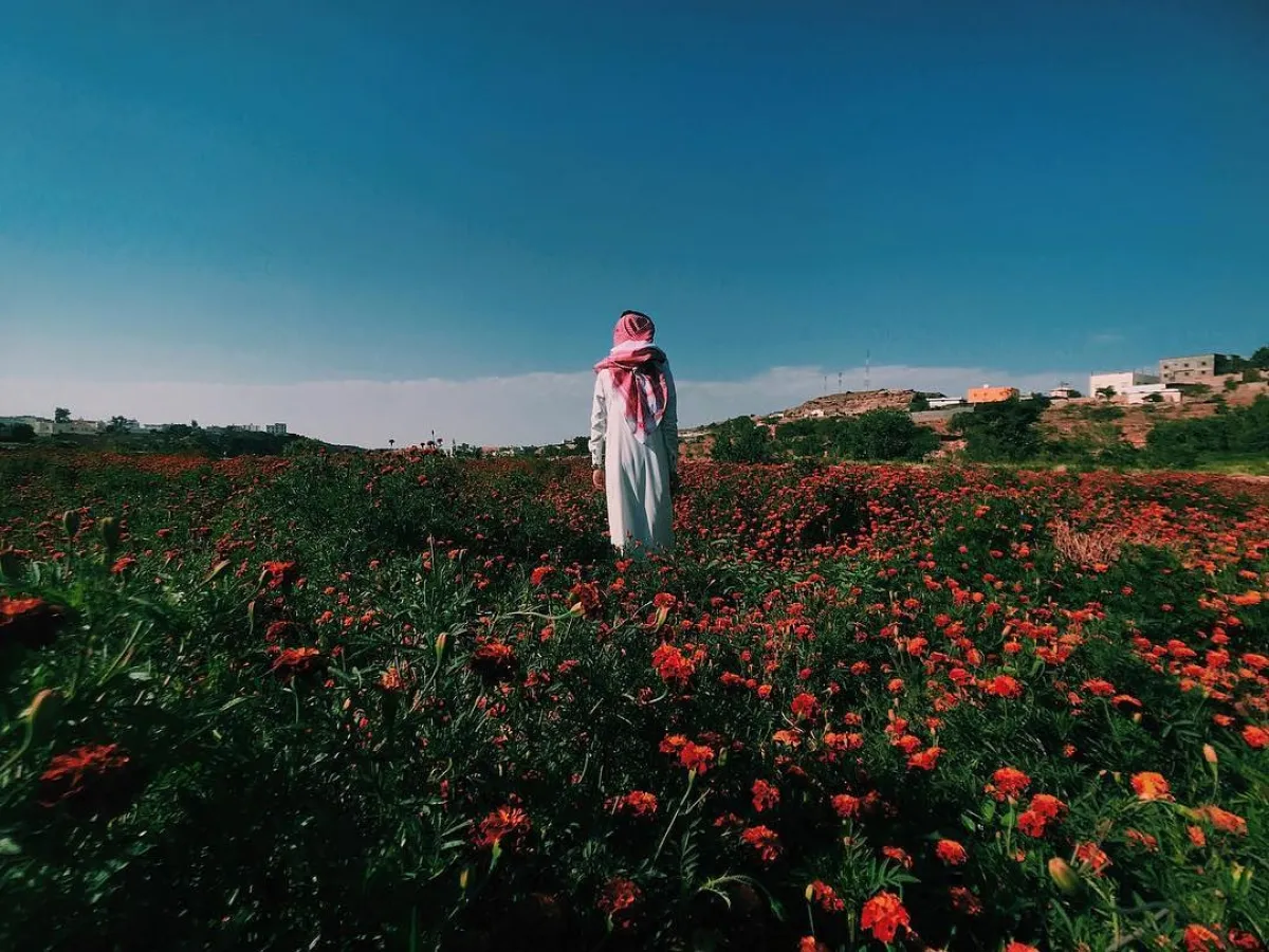 مزارع عسير وجهة سياحية لزوارها