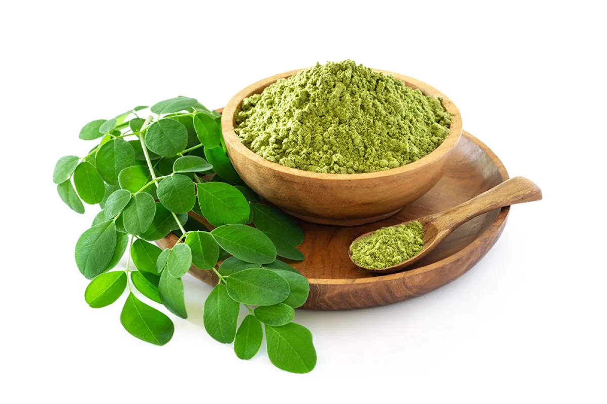 اضرار المورينجا وفوائدها الصحية