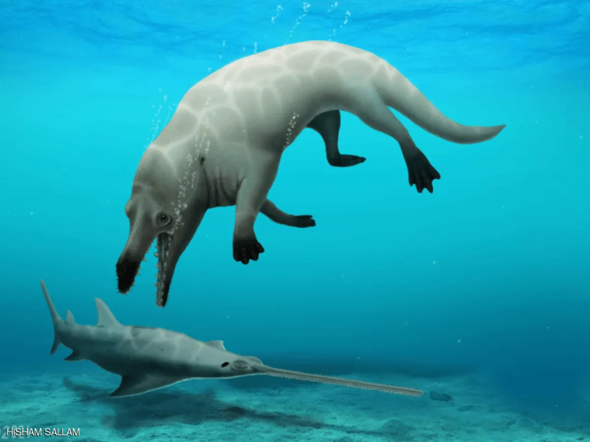 تفاصيل اكتشاف حوت برمائي عاش في مصر قبل 43 مليون عام