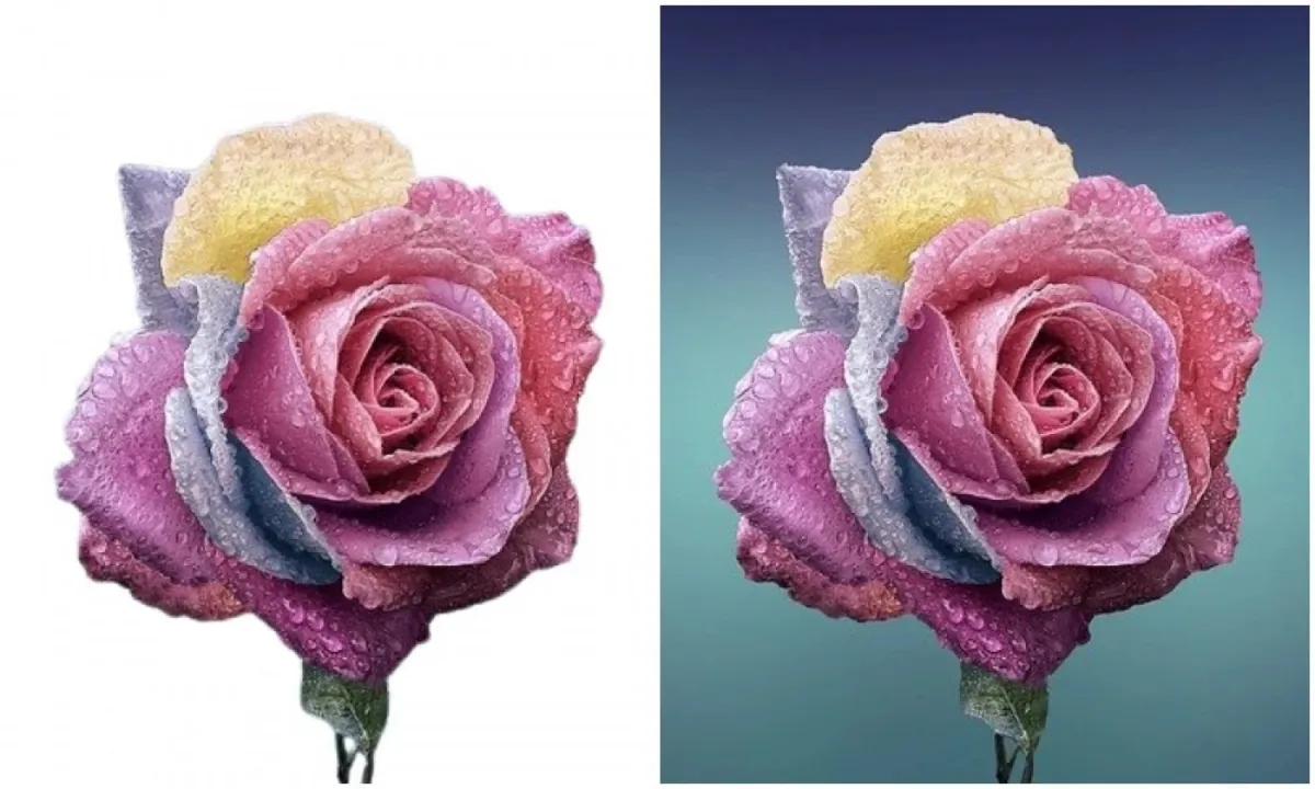 طريقة سهلة لإزالة الخلفيات من الصور