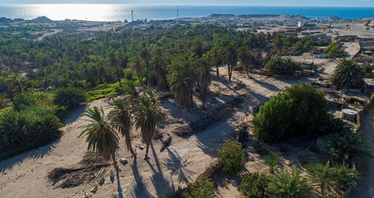 وادي العيون في تبوك. المصدر (واس)