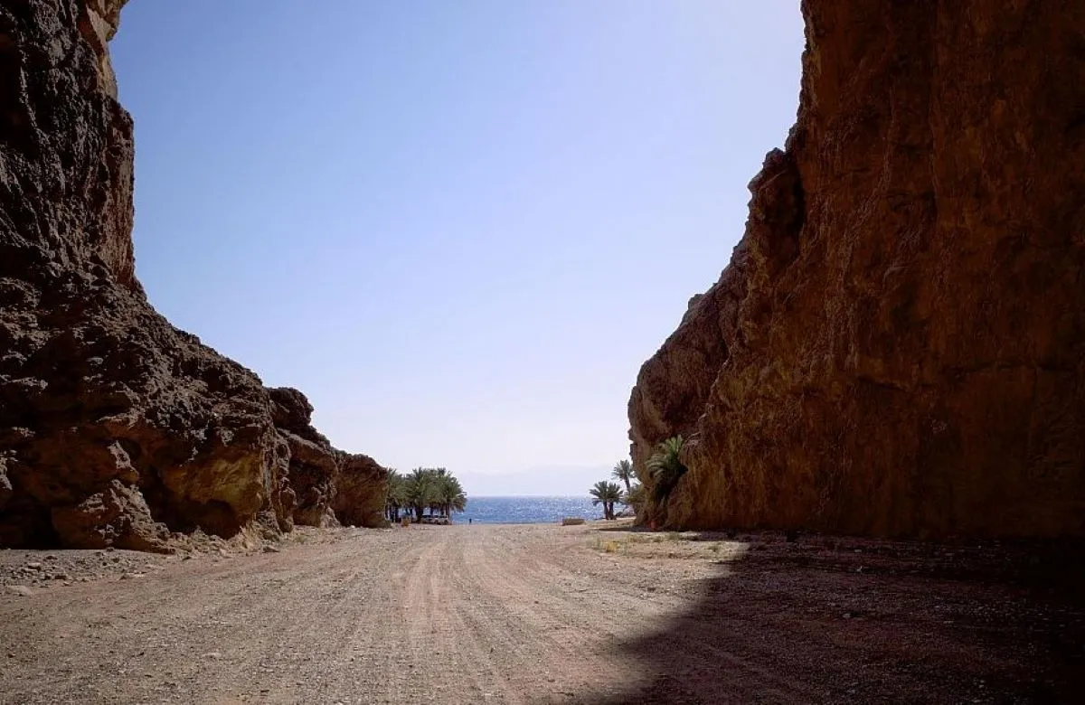 تحفة طبيعية. المصدر (واس)