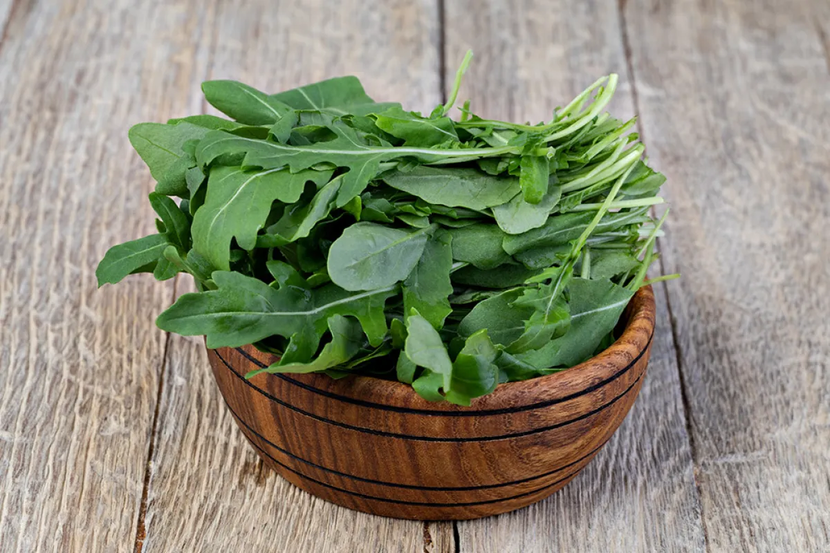 فوائد اكل الجرجير يومياً للنساء