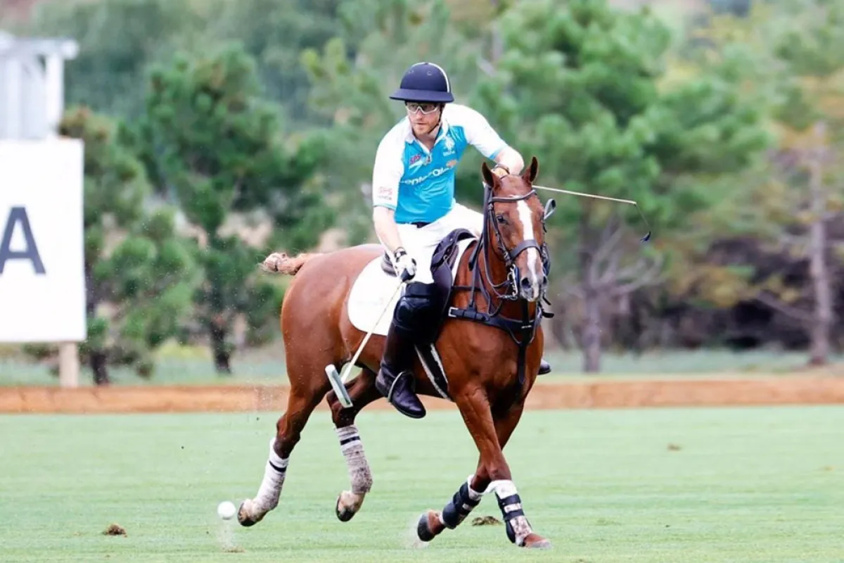 الأمير هاري على الحصان- الصورة من حساب صديقه أوميد سكوبي على تويتر