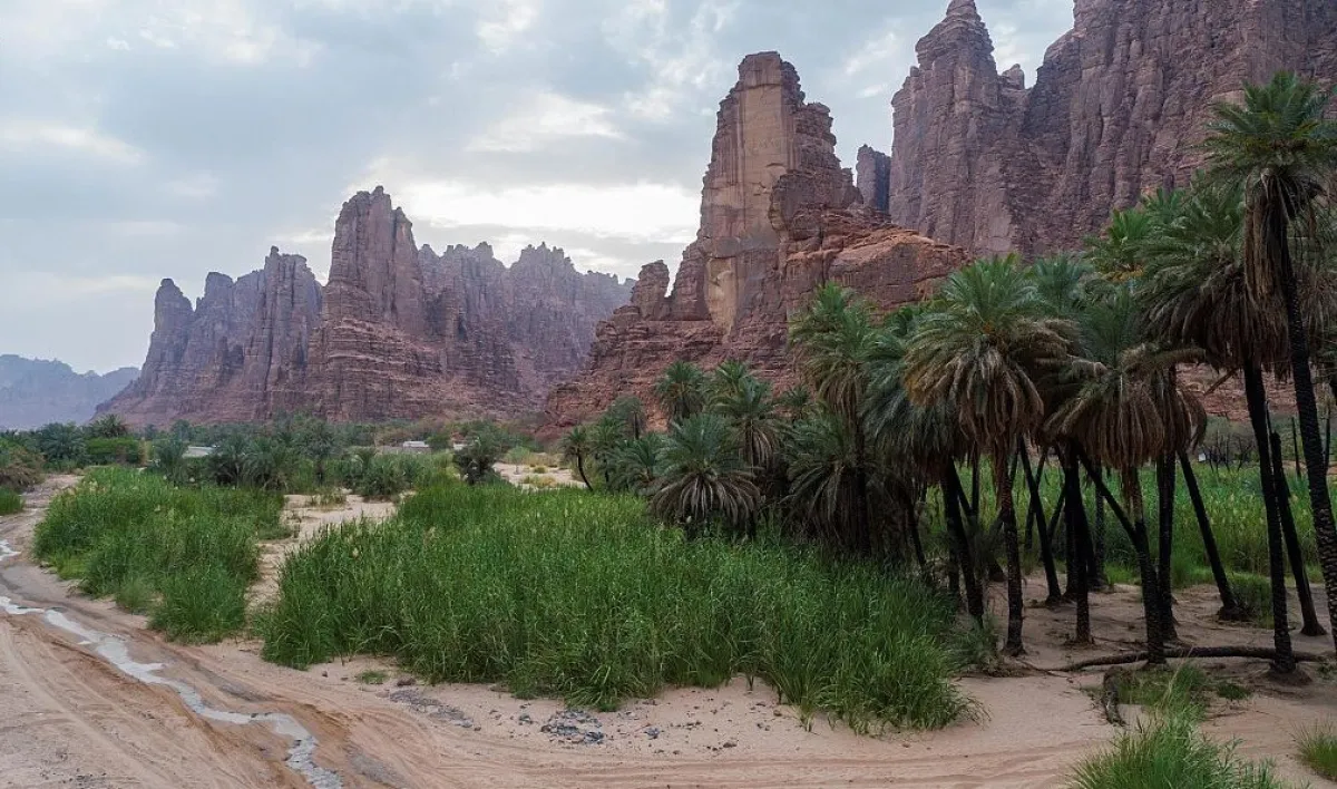 وادي ديسة.. وجهة سياحية جاذبة للسياح في تبوك (واس)