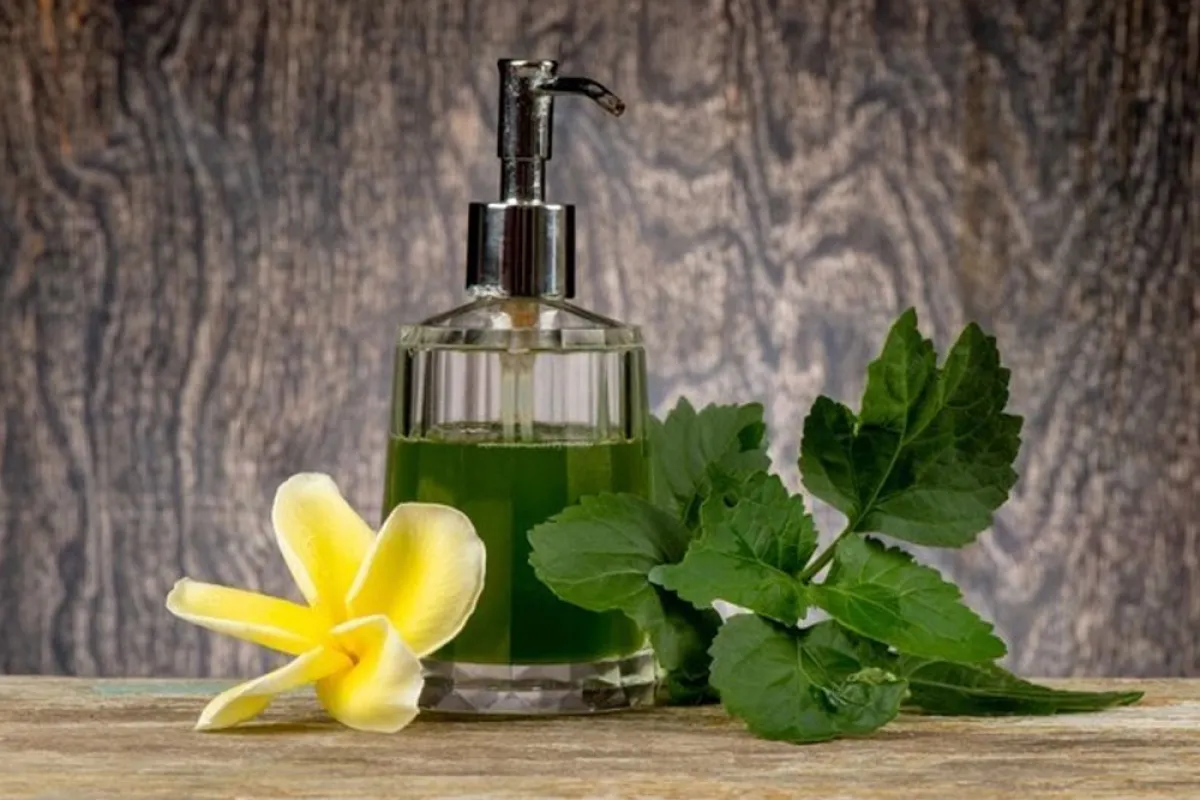 عطور العروس