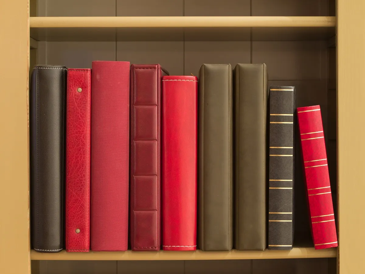 أنواع الروايات 