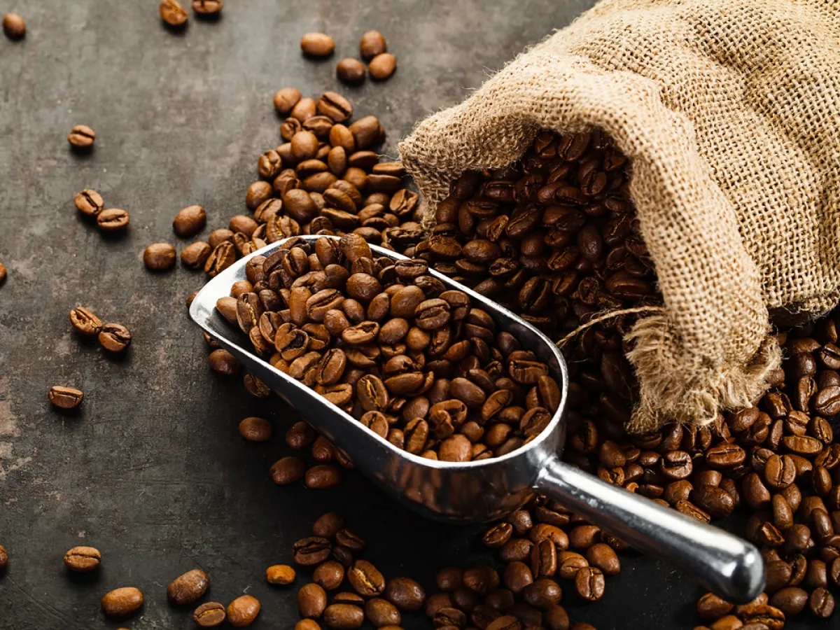  القهوة من دون كافين