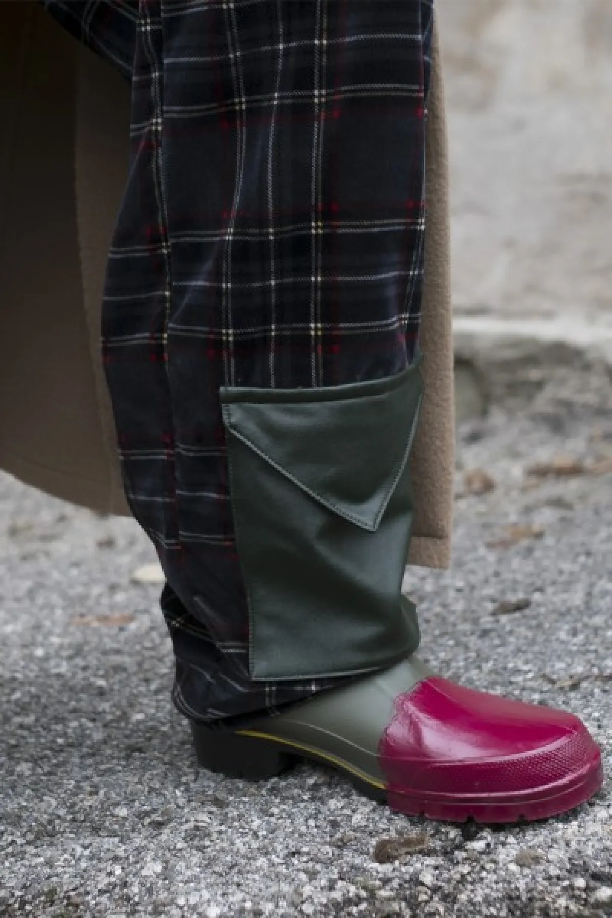 دالباوس  Dalpaos