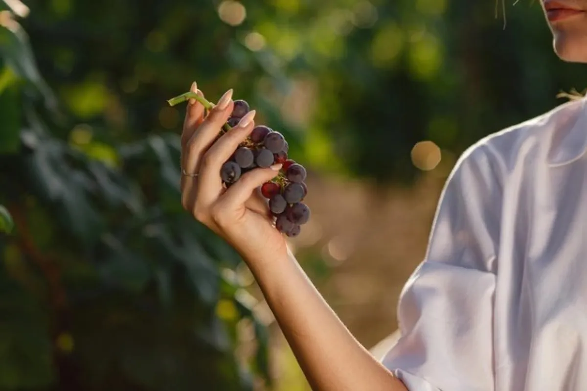 الريسفيراترول لشد البشرة والتخلص من التجاعيد