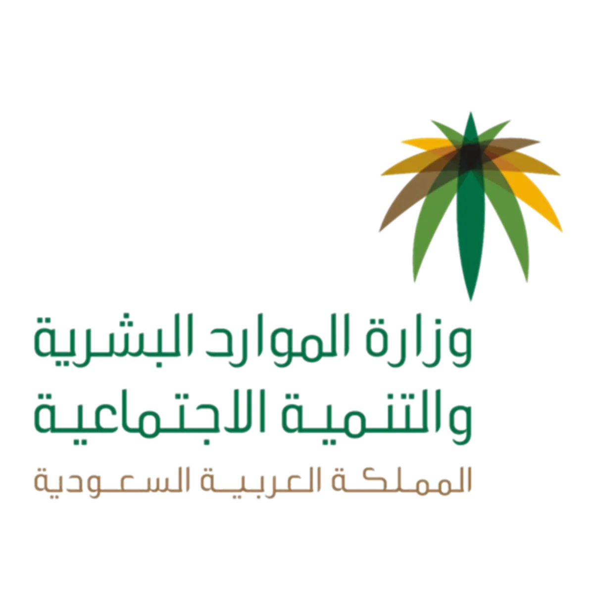 بدء تطبيق قرار توطين مهن التعليم العام في المدارس الأهلية والعالمية