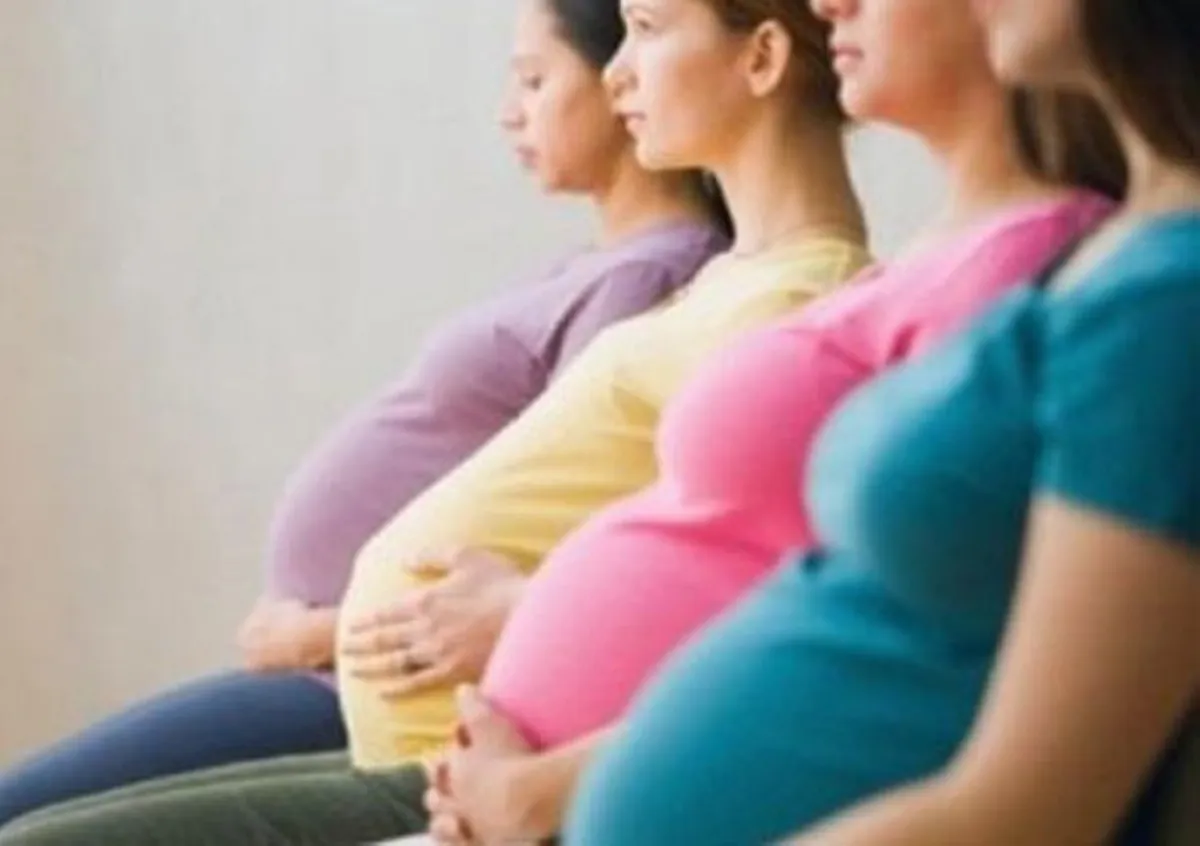 الحوامل- تعبيرية