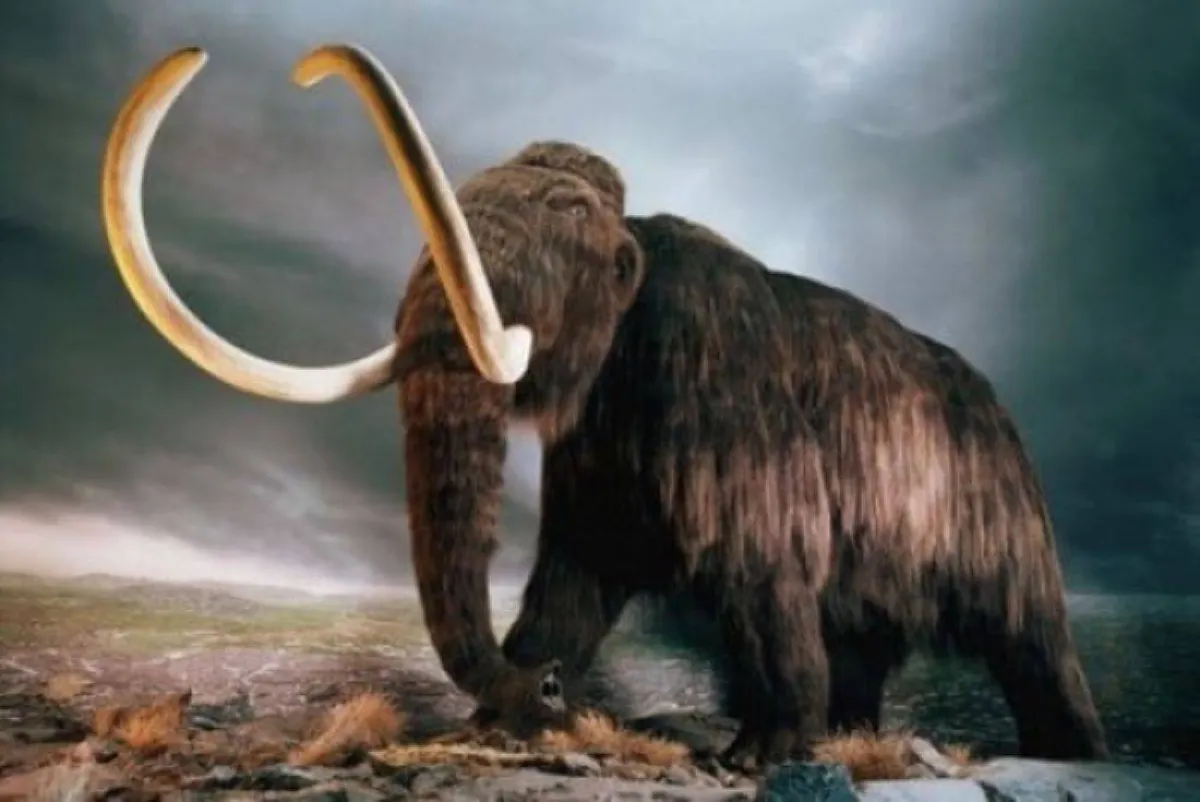علماء يقتربون من إعادة الـ ماموث" إلى الحياة 