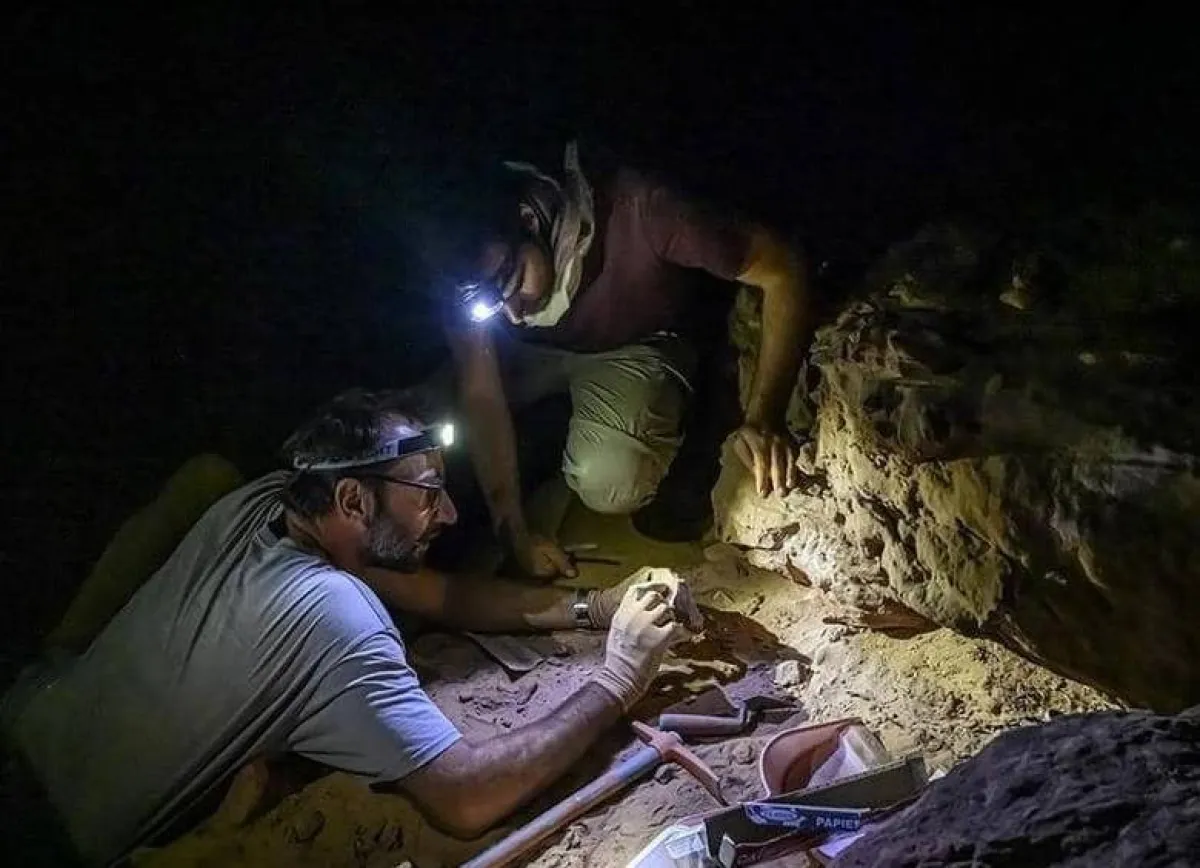 علماء من السعودية وفرنسا يكتشفون آثار