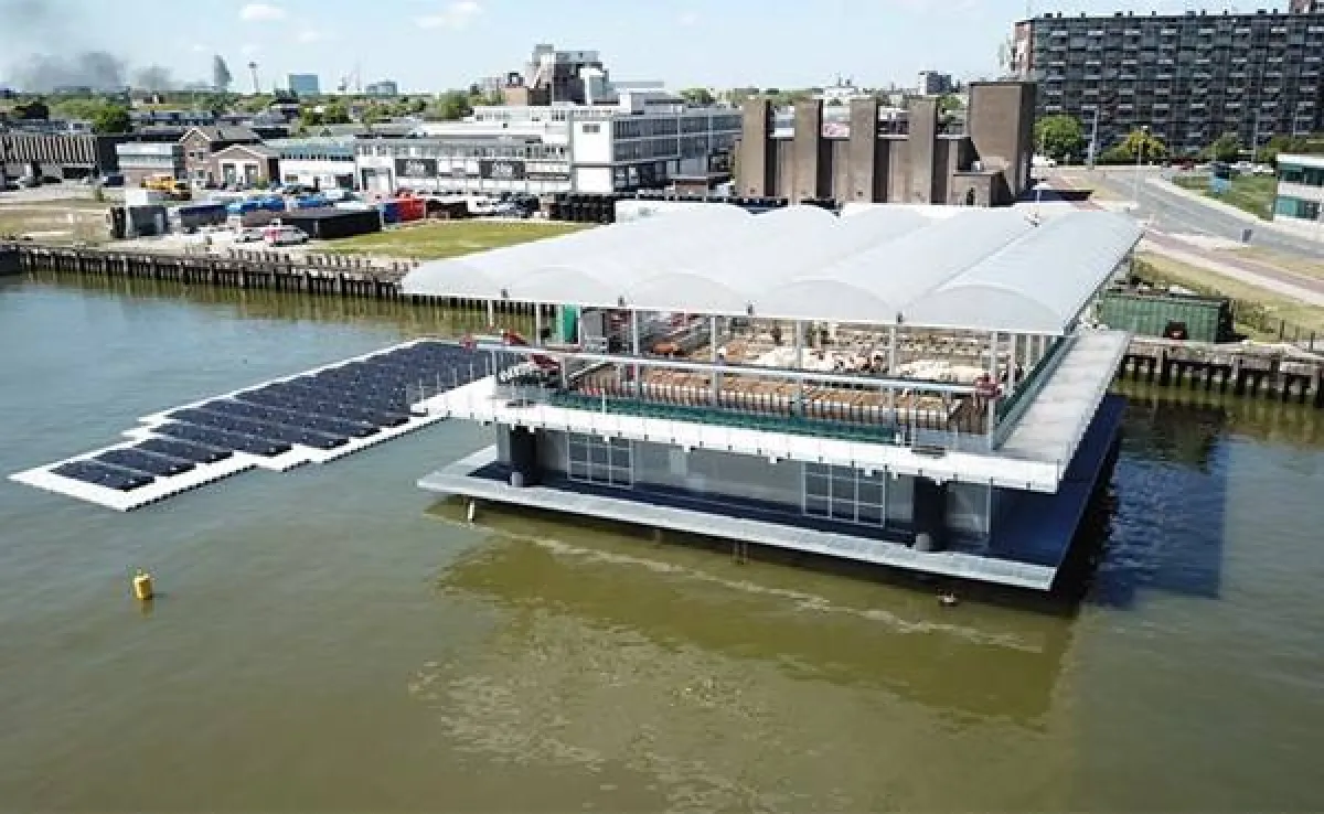 أول مزرعة أبقارعائمة فريدة من نوعها