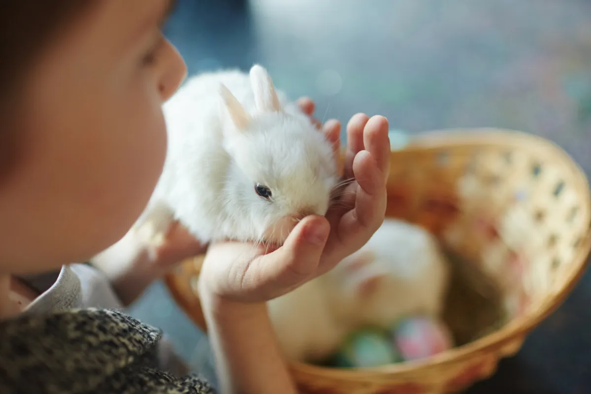 الحيوانات الأليفة لمساعدة الأطفال المصابين بالتوحد