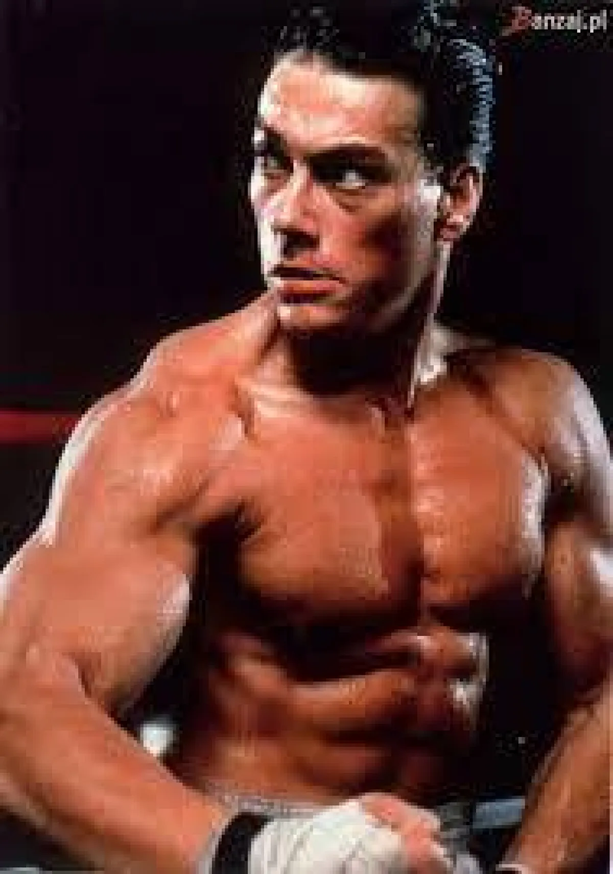 فان دام- الصورة من فيسبوك فان دام  