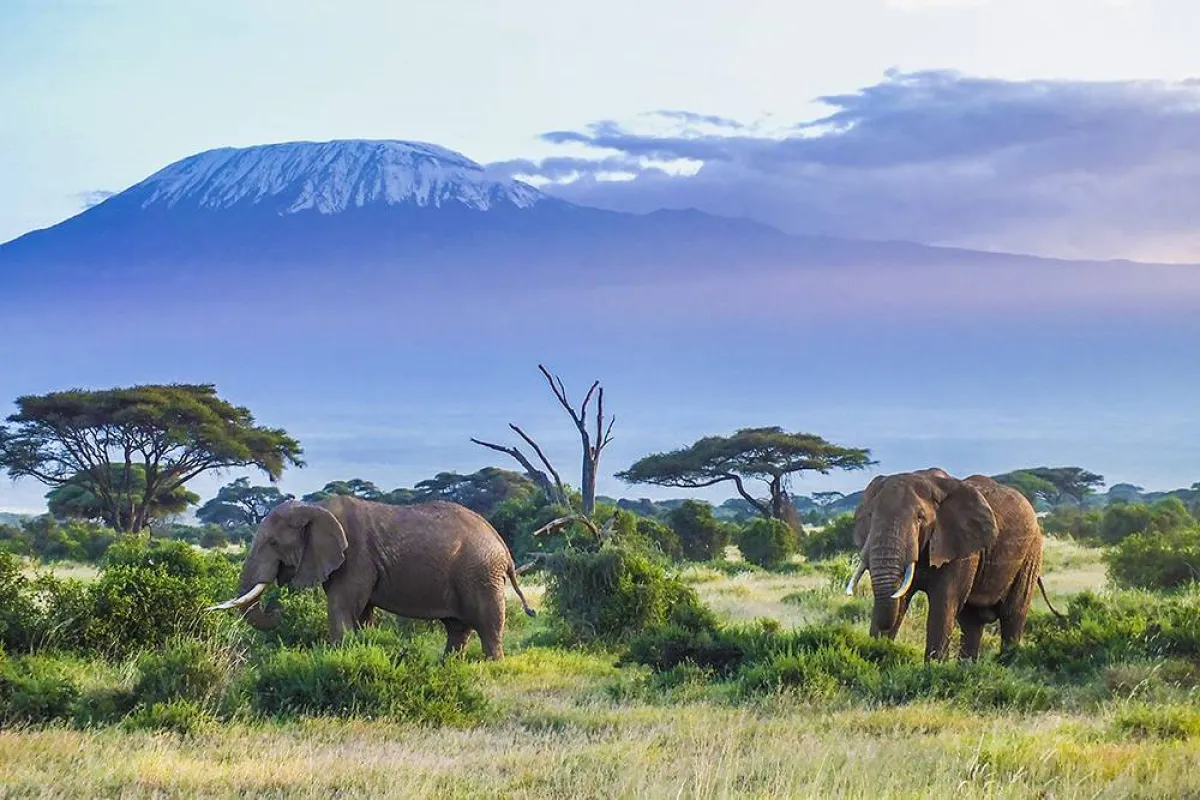 اكتشفوا 4 أماكن سياحية في كينيا