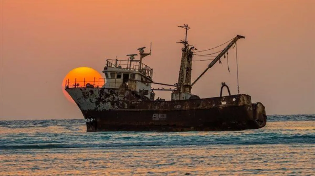 شاطئ القحمة (الصورة من موقع وزارة السياحة)